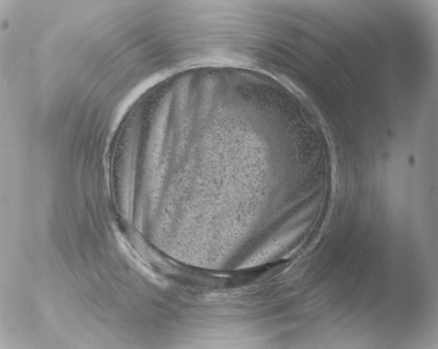 X0000051891238200507151930