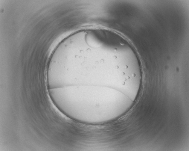 X0000051891239200507151930