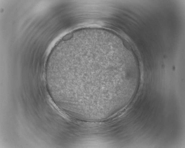 X0000051891240200507151930