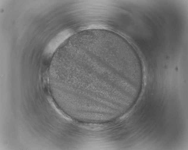 X0000051891241200507151930