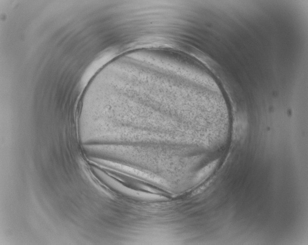 X0000051891242200507151930