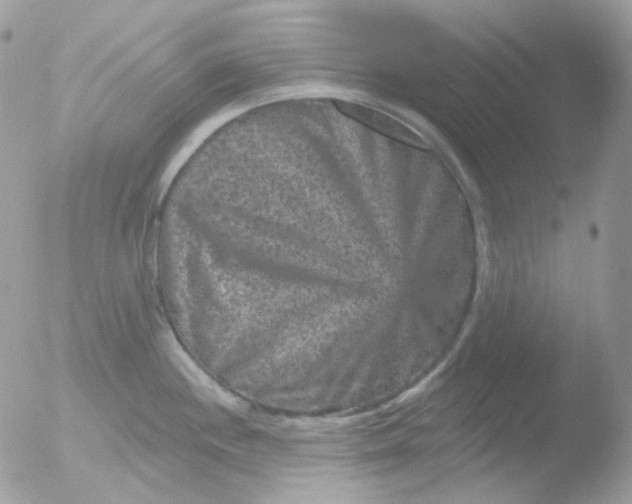 X0000051891244200507151930