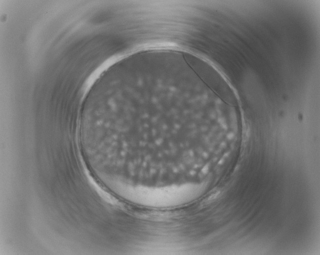 X0000051891245200507151930