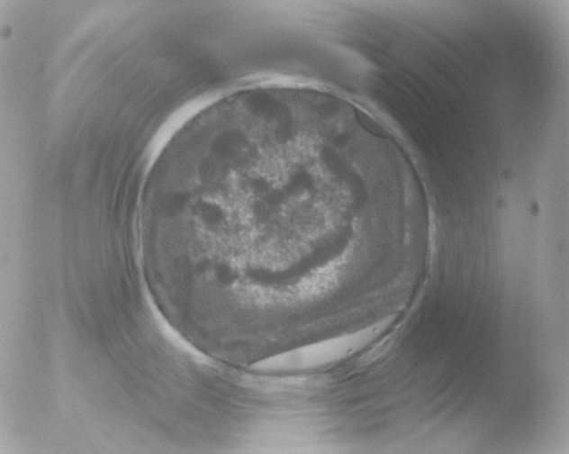 X0000051891247200507151930