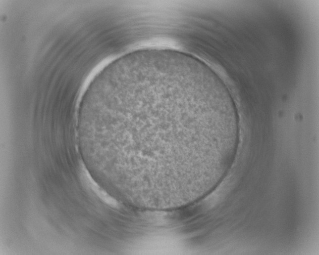 X0000051891248200507151930