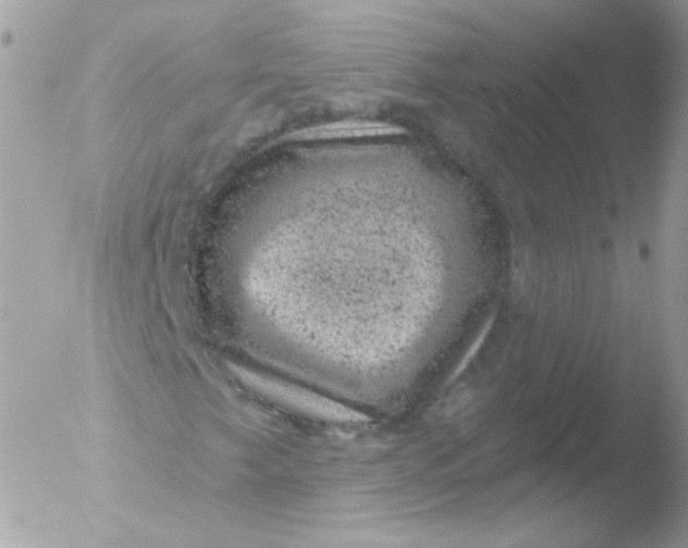 X0000051891249200507151929