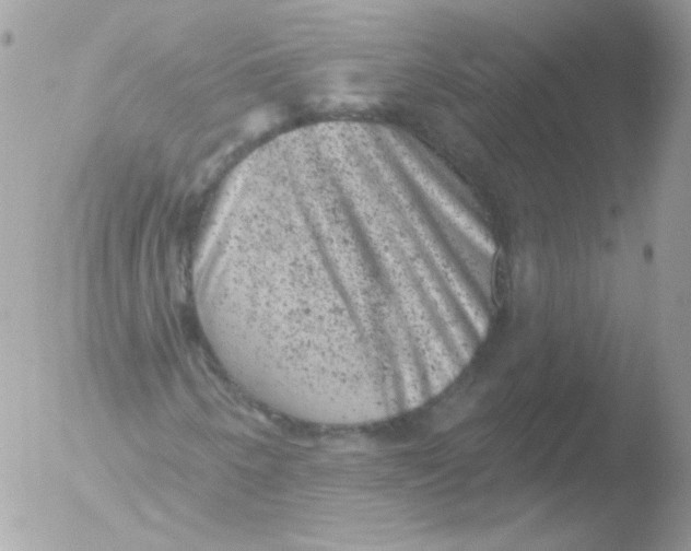 X0000051891250200507151929