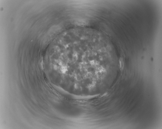 X0000051891251200507151929