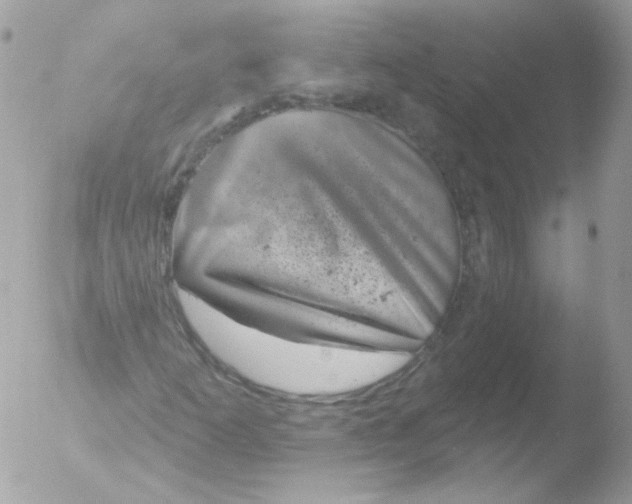 X0000051891253200507151929