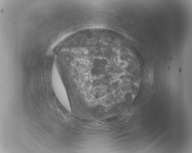 X0000051891255200507151929