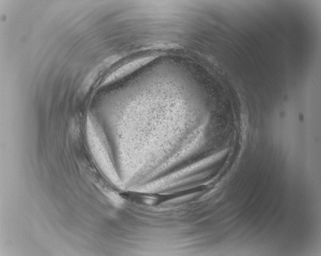 X0000051891257200507151929