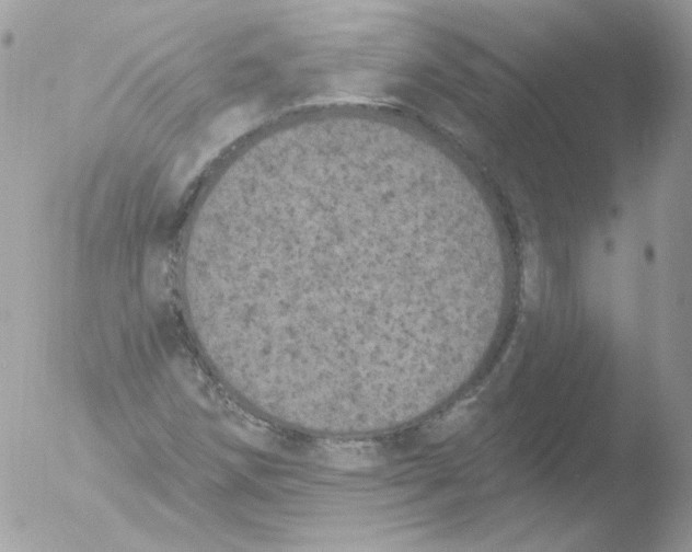 X0000051891258200507151929