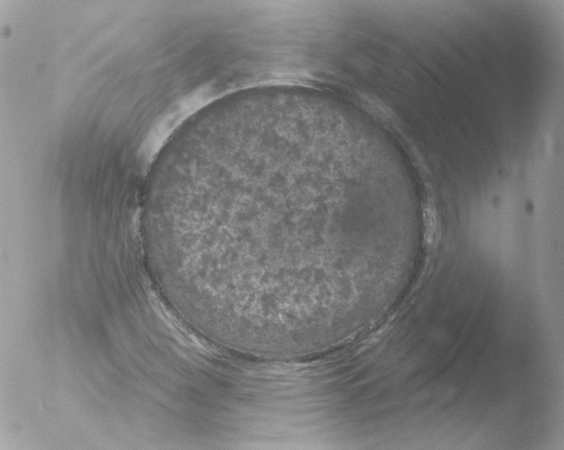 X0000051891260200507151929