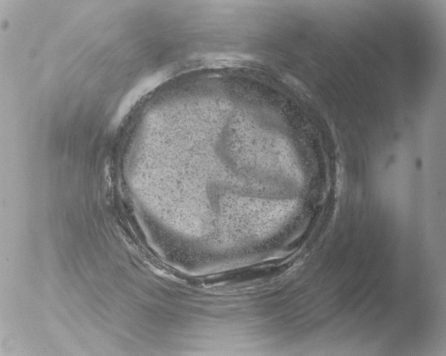 X0000051891261200507151929