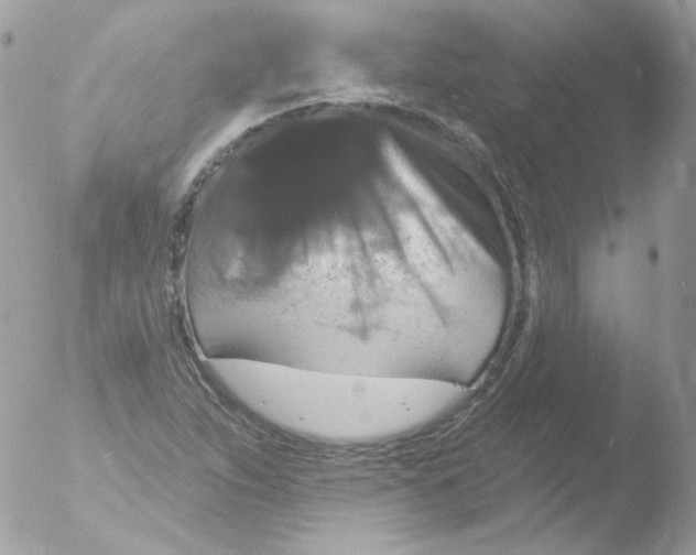 X0000051891263200507151929