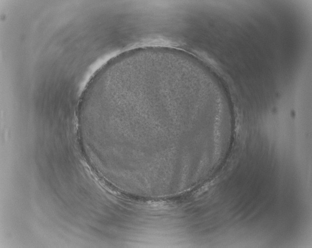 X0000051891264200507151929