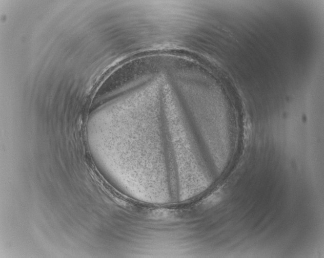 X0000051891265200507151929