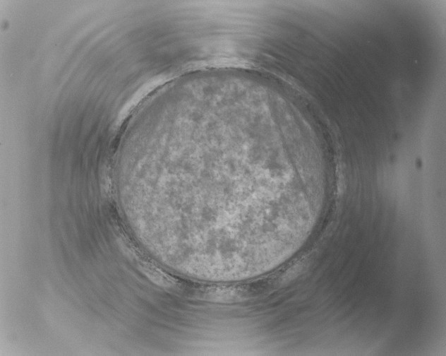 X0000051891266200507151929