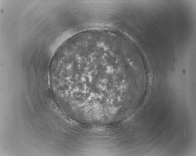 X0000051891267200507151929