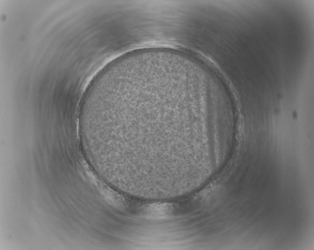 X0000051891268200507151929