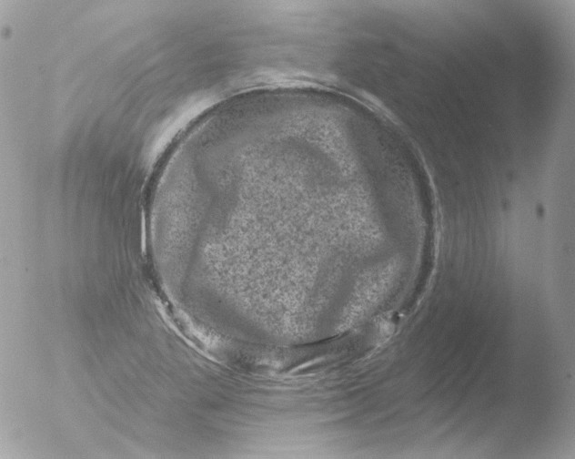 X0000051891269200507151929