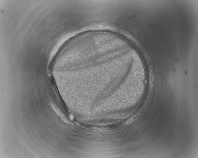 X0000051891270200507151929