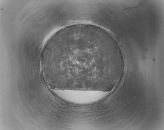 X0000051891271200507151929