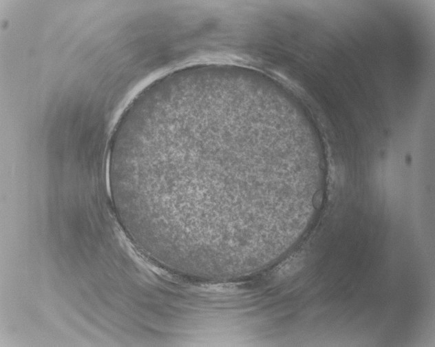 X0000051891272200507151929