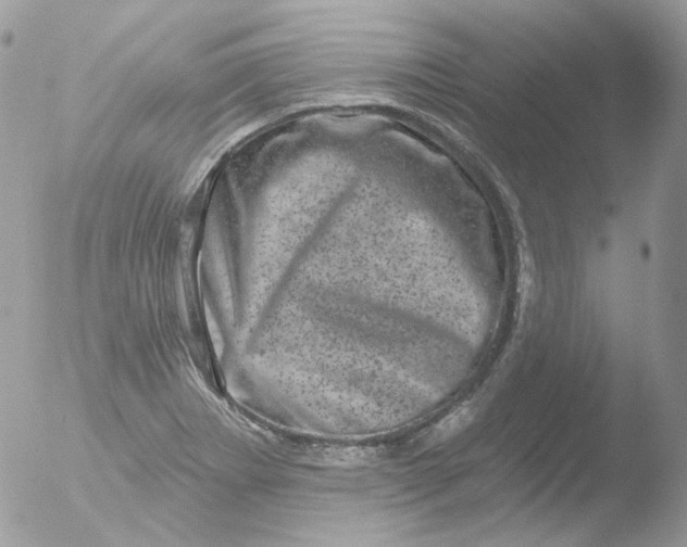 X0000051891273200507151929