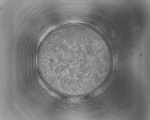 X0000051891274200507151929