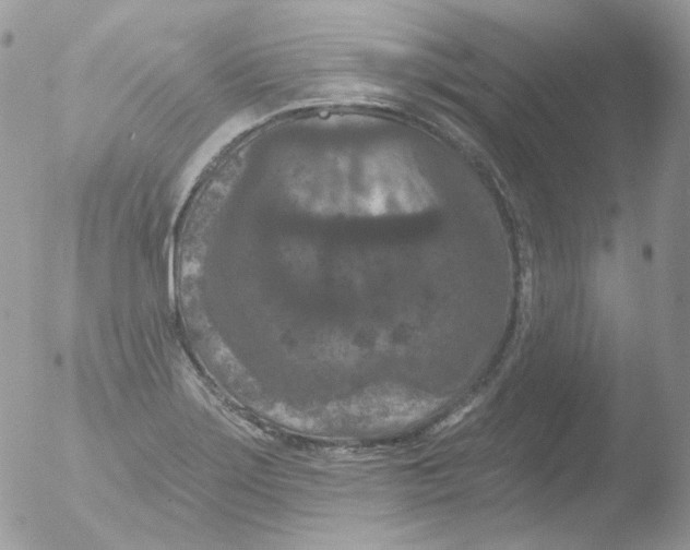 X0000051891275200507151929