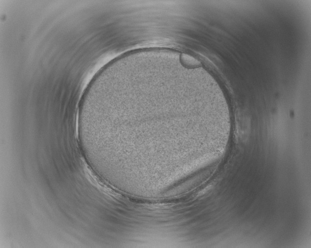 X0000051891276200507151929