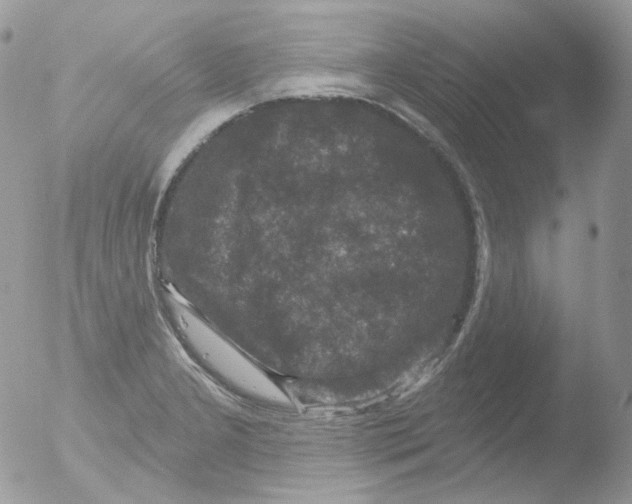 X0000051891277200507151929