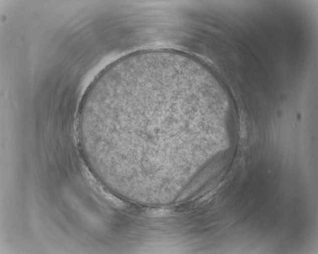 X0000051891278200507151929