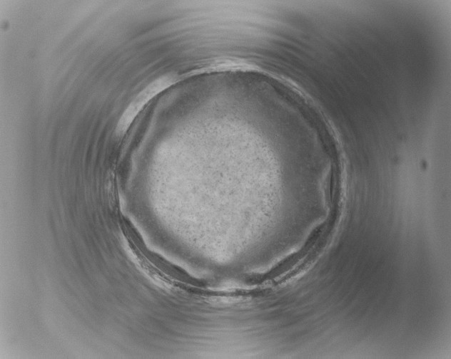 X0000051891281200507151929