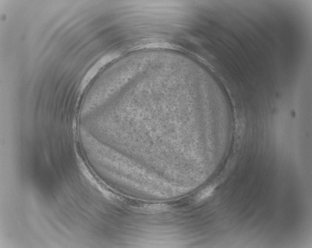 X0000051891282200507151929