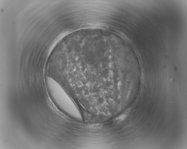 X0000051891283200507151929