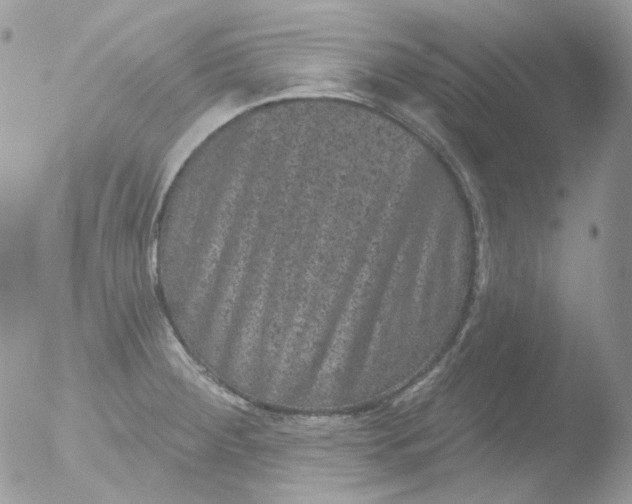 X0000051891284200507151929