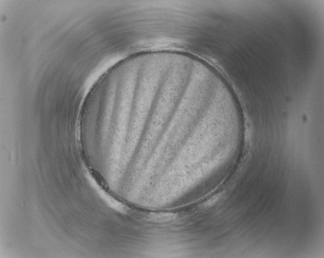 X0000051891285200507151929