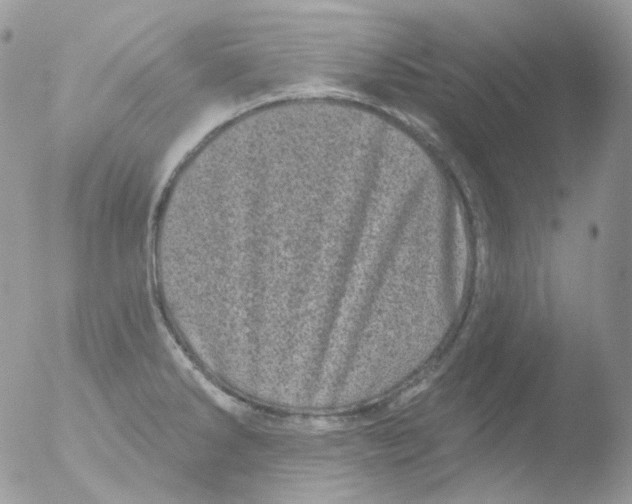 X0000051891286200507151929