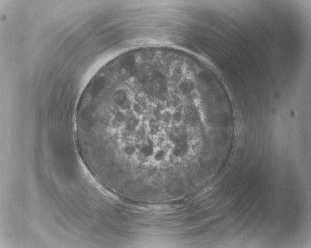 X0000051891287200507151929