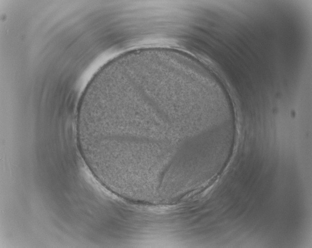 X0000051891288200507151929