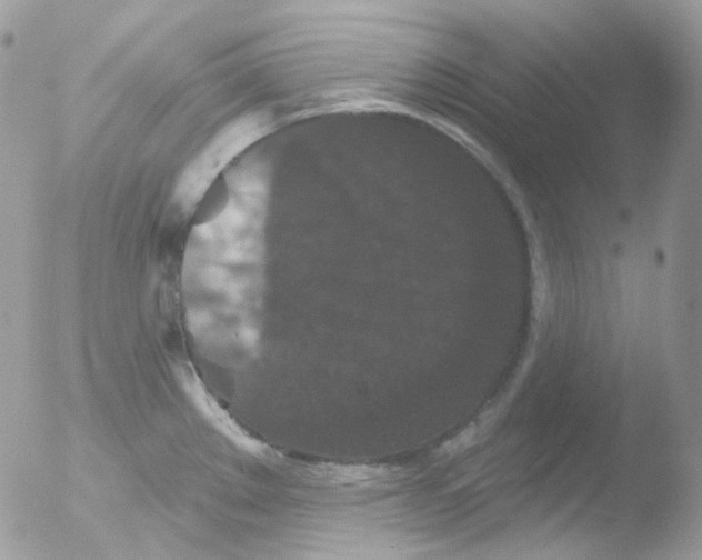 X0000051891289200507151929