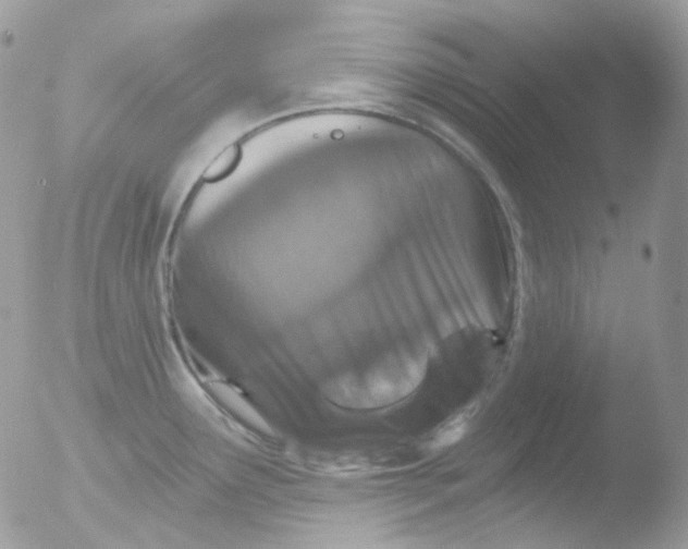 X0000051891291200507151929