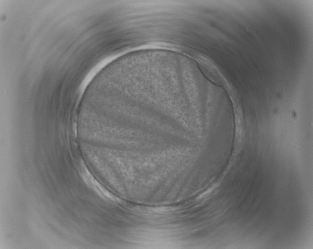 X0000051891292200507151929