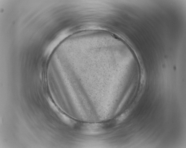 X0000051891293200507151929