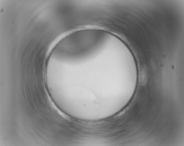 X0000051891294200507151929