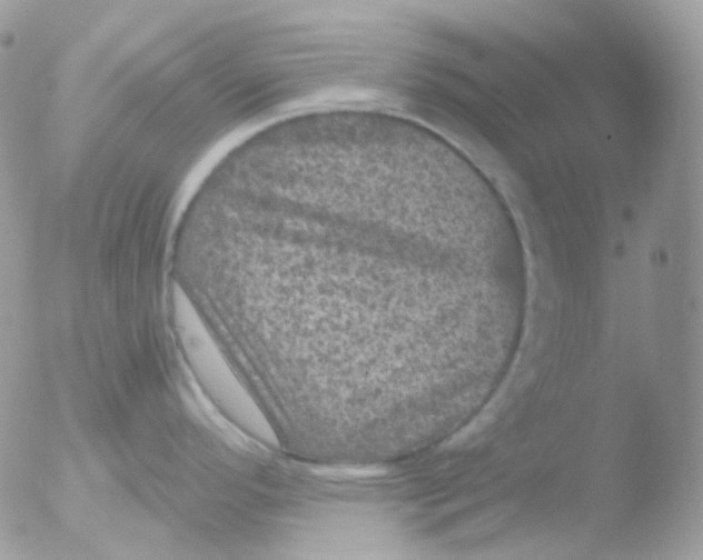 X0000051891296200507151929