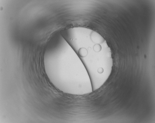 X0000051891297200507151928