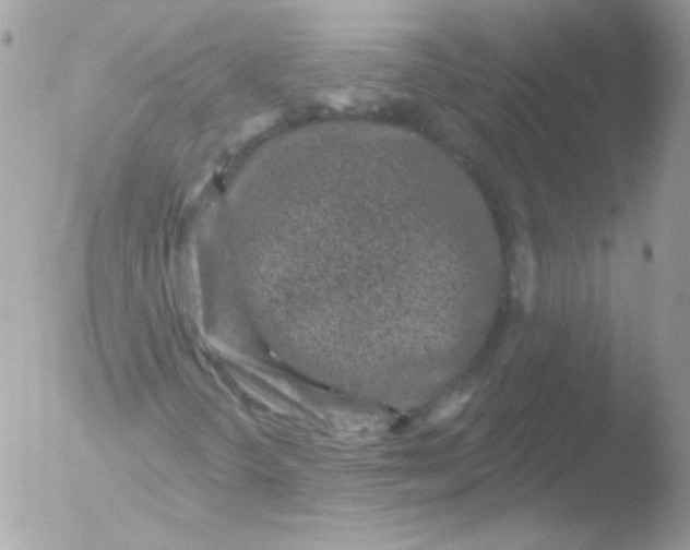 X0000051891298200507151928